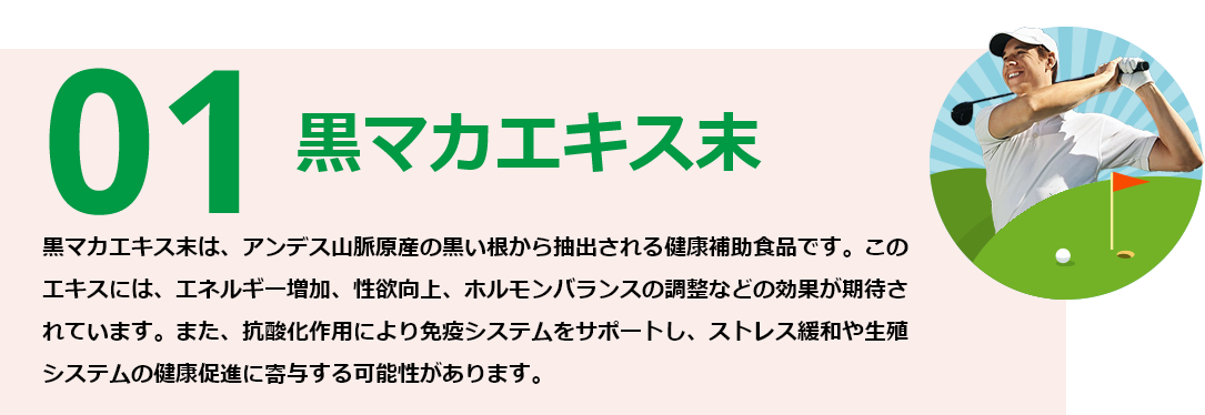 黒マカエキス末